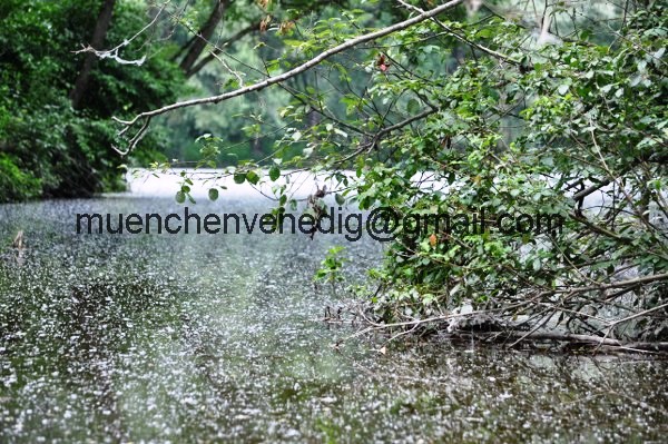 http://muenchenvenedig.com/media/vater-sohn-abenteuer/Eine wunderschoene Kanutour auf dem bayerischen Amazonas/DSC_0781_600x399.JPG